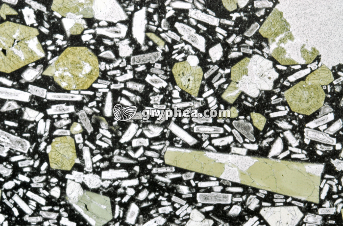 Basalte Stromboli LPNA x3,5 - gryphea.com